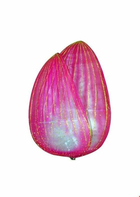 Cánh sen 0.6m