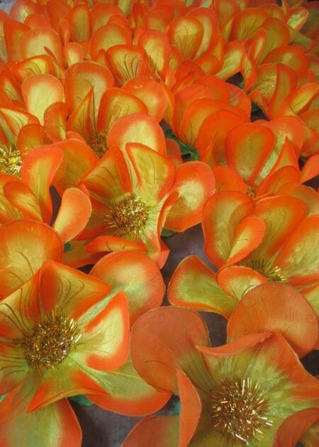Hoa múa cỡ lớn màu cam cánh mềm