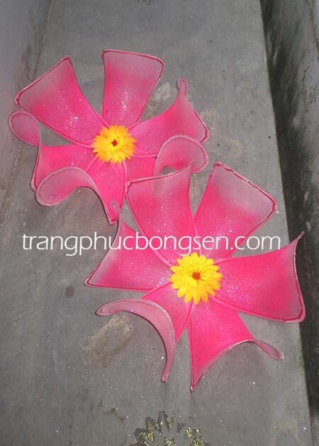 Hoa múa cỡ lớn màu hồng cánh cứng