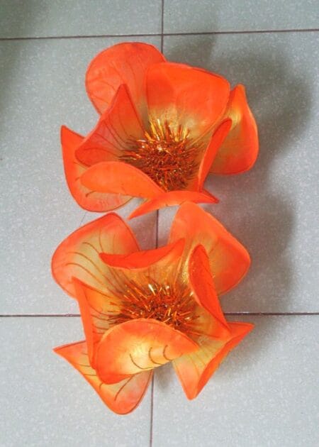 Hoa múa cỡ nhỏ màu cam